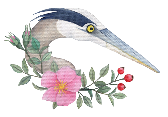 The Heron and Rose